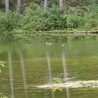 Beth Lake Campground ico