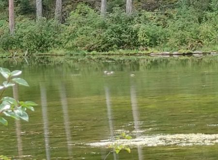 Beth Lake Campground