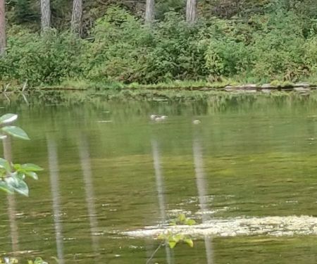 Beth Lake Campground