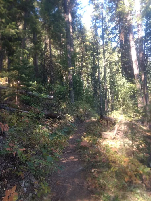 Beth Lake Campground Picture 7