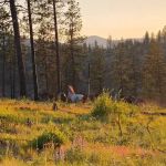 Cornelius Campground