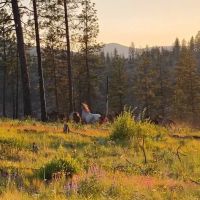 Cornelius Campground ico