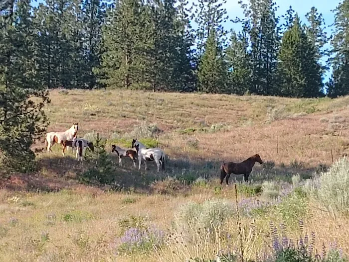 Cornelius Campground Picture 2