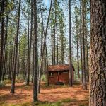 Porcupine Bay campground