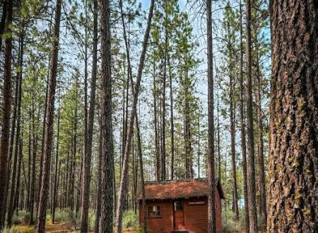 Porcupine Bay campground