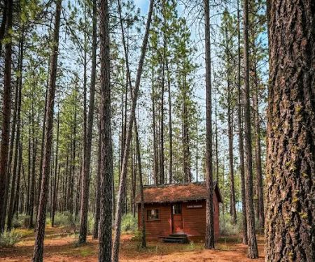 Porcupine Bay campground