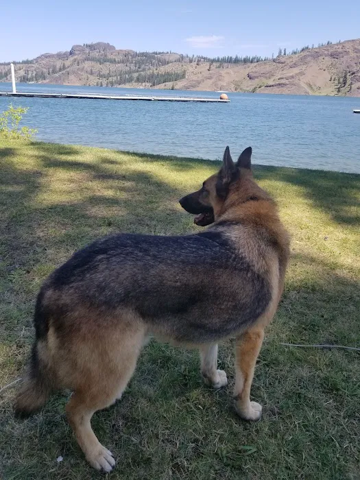 Porcupine Bay campground Picture 10