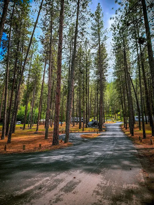 Porcupine Bay campground Picture 4