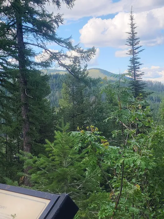 Sherman Pass Campground Picture 1