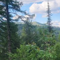 Sherman Pass Campground ico