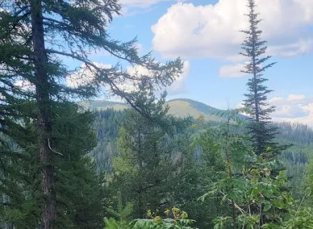 Sherman Pass Campground