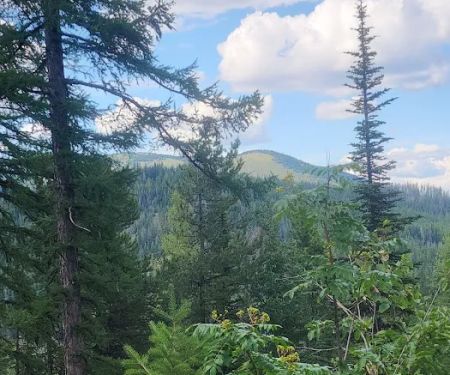 Sherman Pass Campground