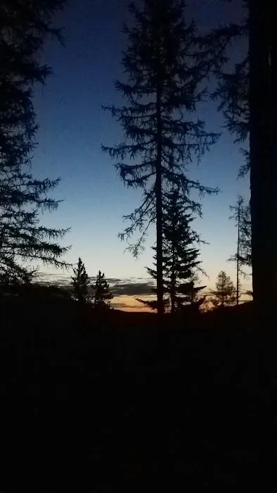 Sherman Pass Campground Picture 6