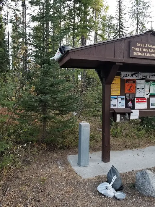Sherman Pass Campground Picture 7