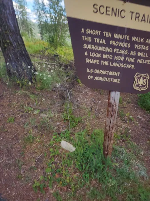 Sherman Pass Campground Picture 4