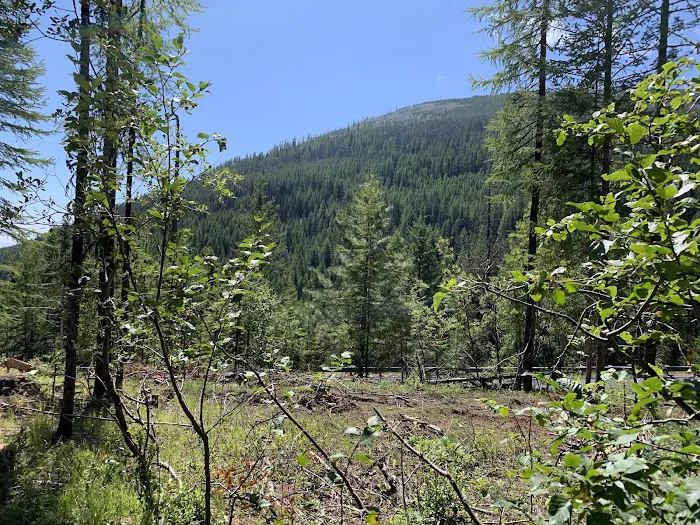 Sherman Pass Campground Picture 10