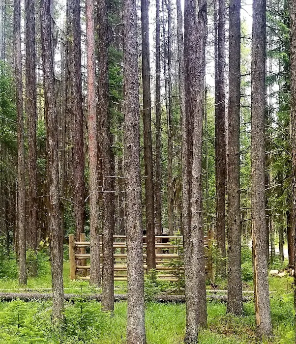 Jungle Hill Horse Campground Picture 1