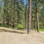 Cloverleaf Campground