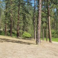 Cloverleaf Campground ico