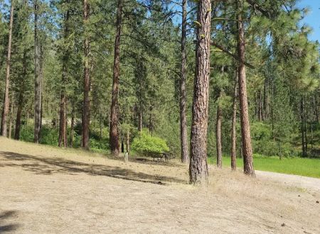 Cloverleaf Campground