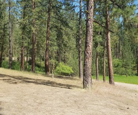 Cloverleaf Campground
