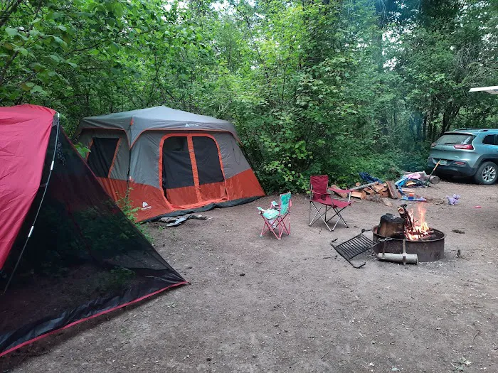 Lake Ellen East Campground Picture 4
