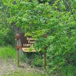 Lake Ellen East Campground