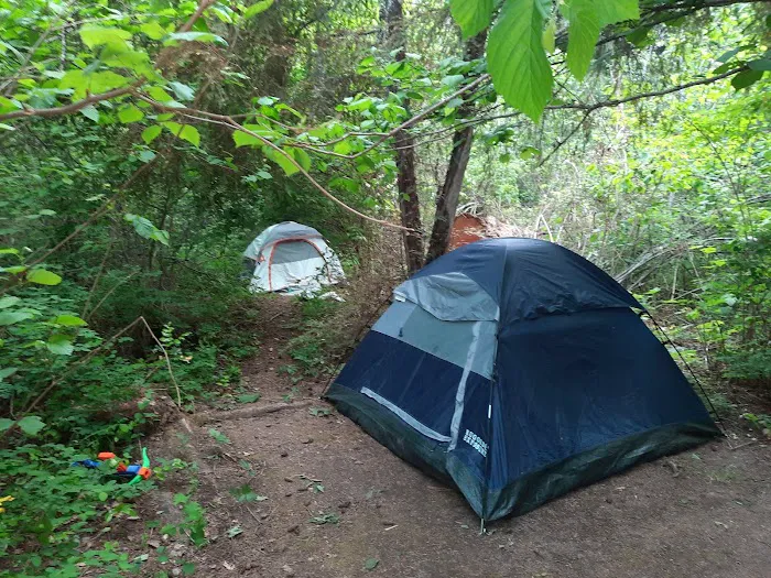 Lake Ellen East Campground Picture 6