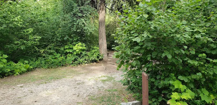Lake Ellen East Campground Picture 5