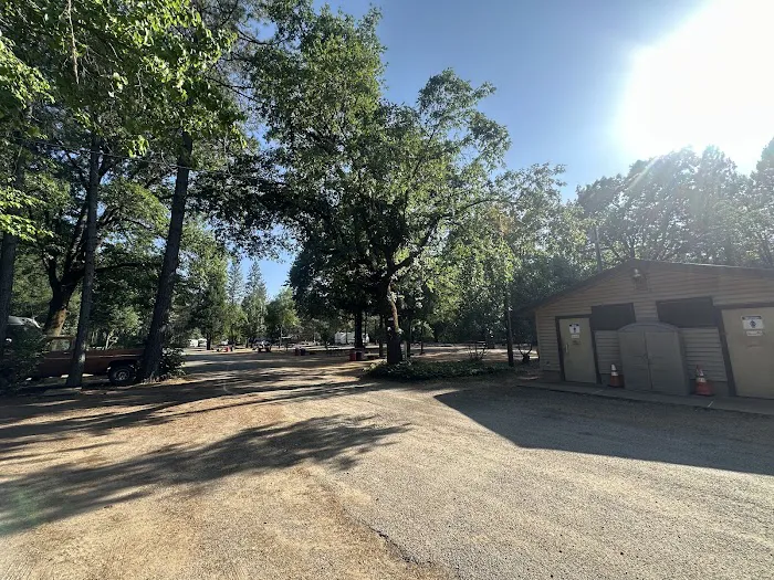 Shasta Lake RV Resort-Campground Picture 2