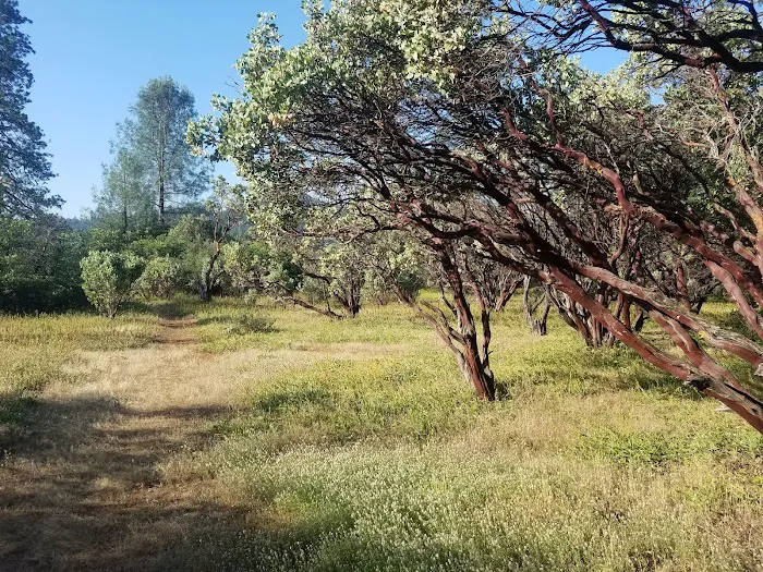 Antlers Campground Picture 7