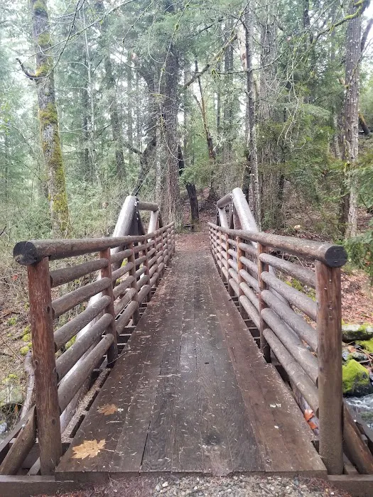 East Weaver Campground Picture 10
