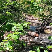 East Weaver Campground ico