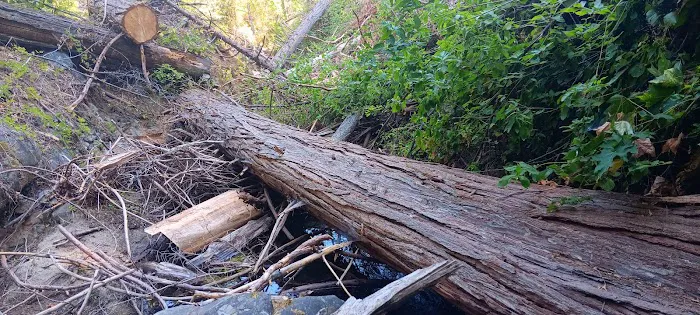 East Weaver Campground Picture 2