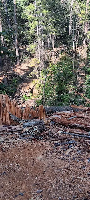 East Weaver Campground Picture 5