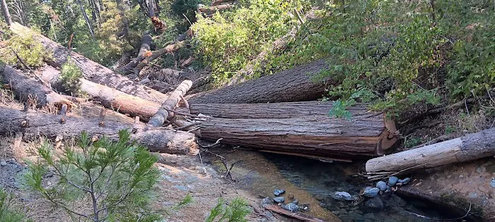 East Weaver Campground Picture 7