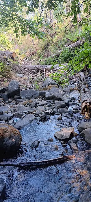 East Weaver Campground Picture 4