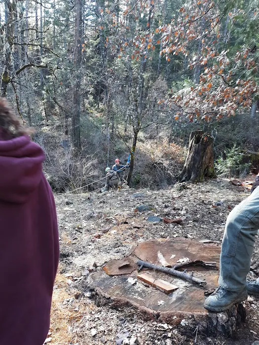 East Weaver Campground Picture 8