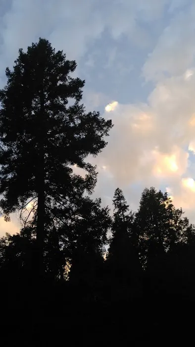 Rush Creek Campground Picture 2