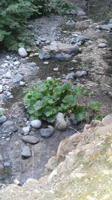Rush Creek Campground Picture 1
