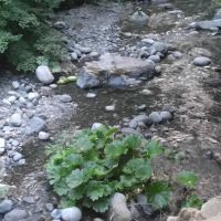 Rush Creek Campground ico