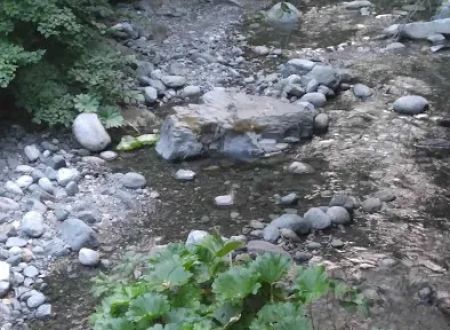 Rush Creek Campground