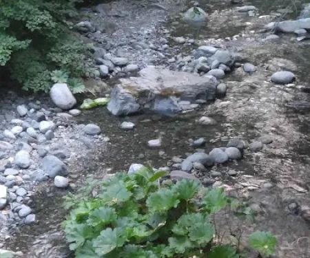 Rush Creek Campground
