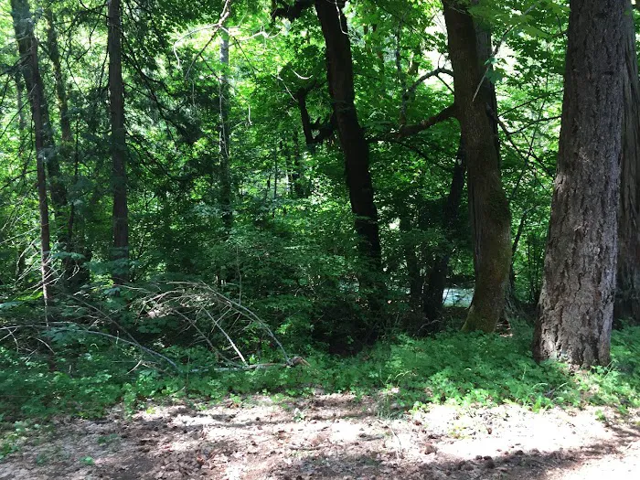 Rush Creek Campground Picture 8