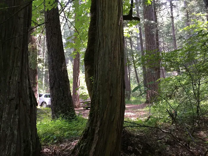 Rush Creek Campground Picture 6