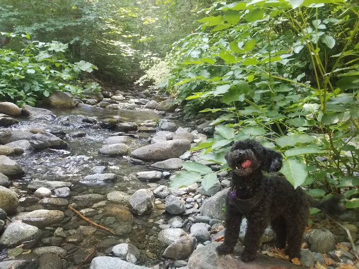 Rush Creek Campground Picture 10