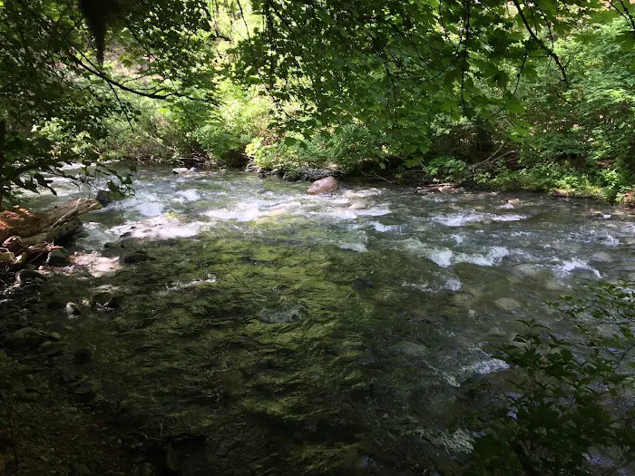 Rush Creek Campground Picture 5