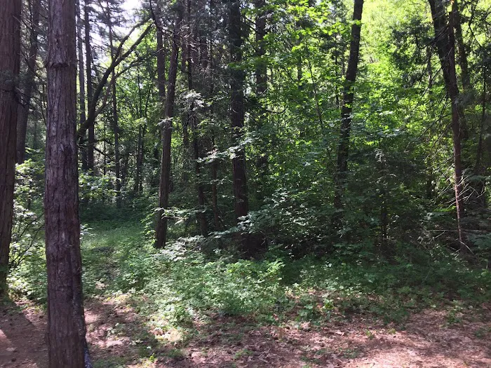 Rush Creek Campground Picture 9