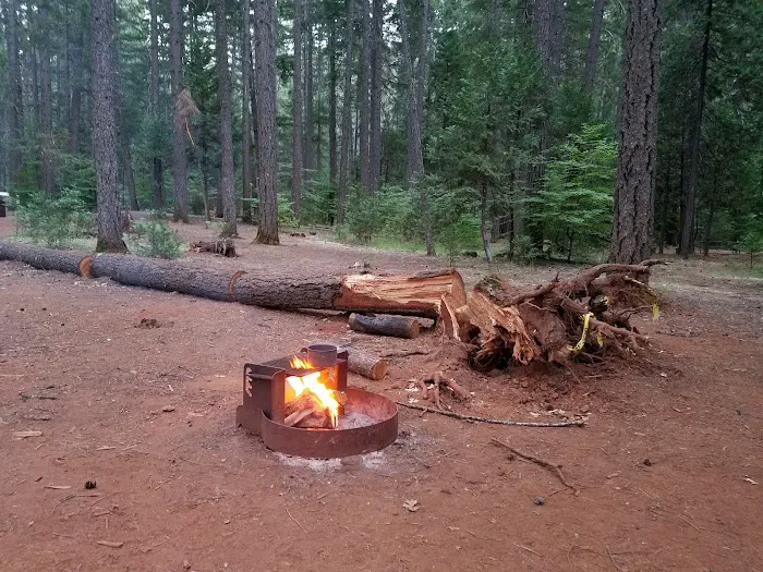 Tannery Gulch Campground Picture 9