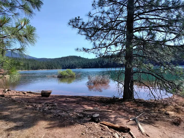 Minersville Campground Picture 9